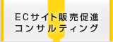 ECサイト販売促進コンサル